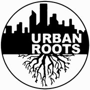 GROUP HARMONY ：THE BLACK URBAN ROOTS Group Harmony: The Black Urban Roots of Rhythm and Blues