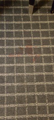 Oakland Airport Executive Hotel by null