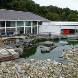 Exploris Aquarium