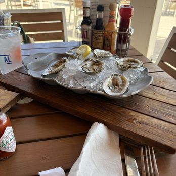Coastal Orange Beach - Fresh Raw Oysters. Believe they were murder point. - Seafood Near Me - Orange Beach, Alabama