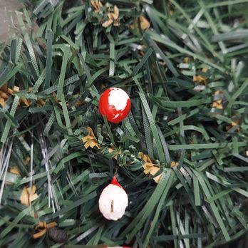 Public Storage - Great Uncle's christmas decoration chewed on. - Self Storage Near Me - Pompano Beach, Florida