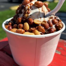 Netsins Ice Cream