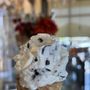 Photo of Fabio On Fire-Panini & Gelateria