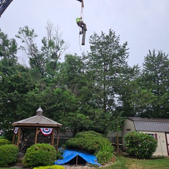 Chad Bear Tree Works - Tree Services Near Me Chad Bear Tree Works - Tree Services Near Me