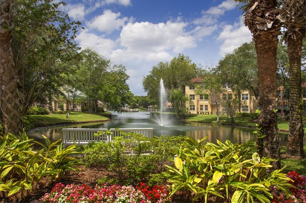 Fleet Landing by null