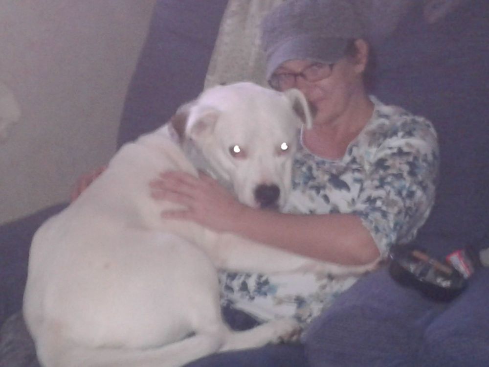 GILCHRIST CHARLES P III DR Updated September 2024 402 Airport Rd