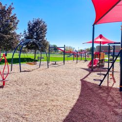 Geneva Park - All-Abilities swings