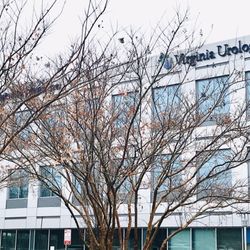 Virginia Urology