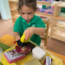 New Generation Montessori - West Palm Beach