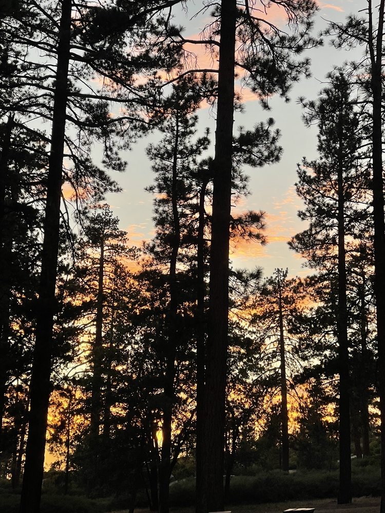 HANNA FLAT CAMPGROUND Updated October 2024 155 Photos & 103 Reviews