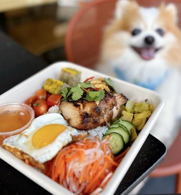 Local Kitchens by null