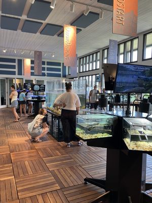 Tybee Island Marine Science Center by null
