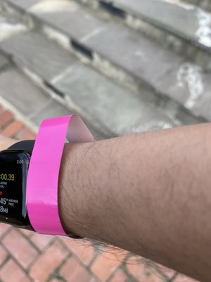 New Orleans Botanical Garden by null