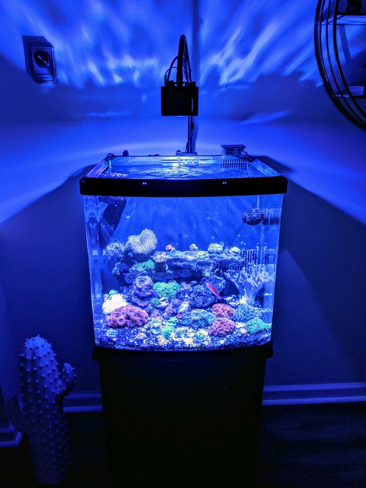 LEAVE IT TO US AQUARIUMS 12 Photos Staten Island, New York Aquarium Services Phone