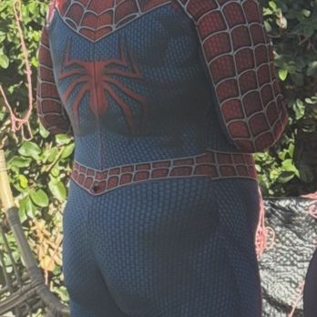 Dreamcharacters - Character busting at the seams with holes. Son was very disappointed. Do not hire . - Party Characters Near Me