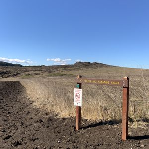 Paradise Falls on Yelp