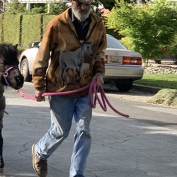 Most Unique Parties and Ponies - Leonard pulling pony chariot!
