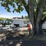 Mathey Tree Care