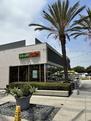 Rubio's Coastal Grill by null