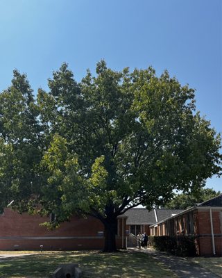 First Presbyterian Church of Arlington