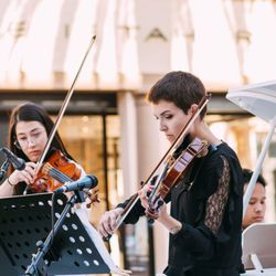 Nico Correa Violinist