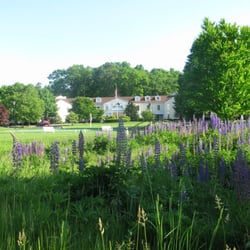 Essex Meadows