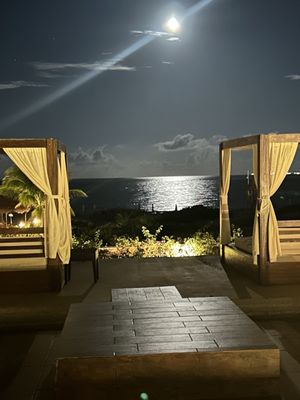 Secrets Playa Mujeres Golf & Spa Resort by null
