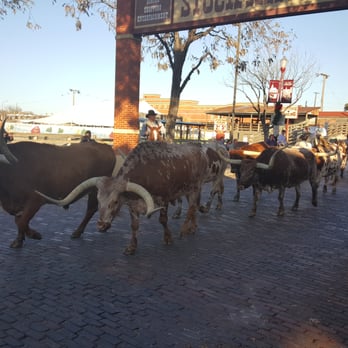 Stockyards Station - #Cattledrive - Walking Tours Near Me - Fort Worth, Texas Stockyards Station - #Cattledrive - Walking Tours Near Me - Fort Worth, Texas