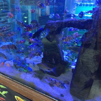 Xtreme Fish & Pets - Pet Stores Near Me - Houston, Texas