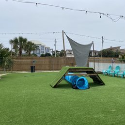 Large dog area