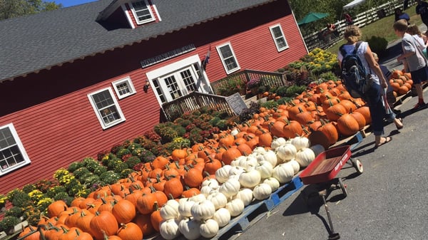 Boston Hill Farm by null
