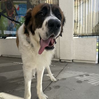 The Animal Keeper - Pet Training Near Me - Oceanside, California The Animal Keeper - Pet Training Near Me - Oceanside, California
