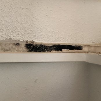 Tumbleweed Tiny House - Mold under window behind refrigerator cabinet in drywall - RV Dealers Near Me - Colorado Springs, Colorado