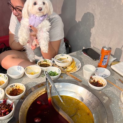 Da Long Yi Hot Pot by null Da Long Yi Hot Pot by null