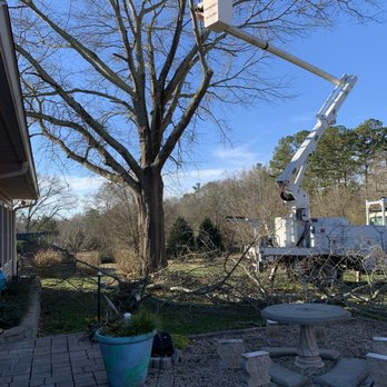 Porterfield Tree - Tree Services Near Me - Lawrenceville, Georgia Porterfield Tree - Tree Services Near Me - Lawrenceville, Georgia