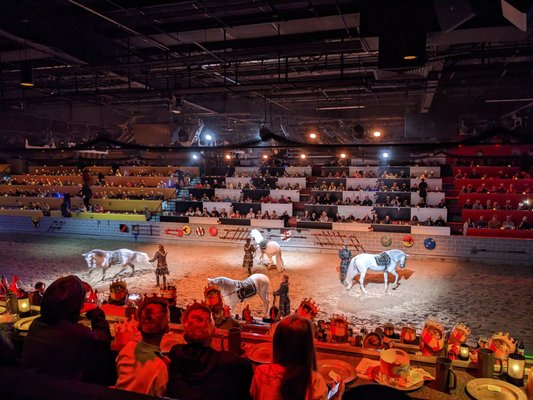 Medieval Times Dinner & Tournament by null