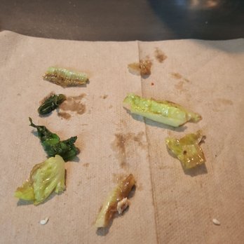 Panera Bread - Rotten lettuce - Sandwiches Near Me - Westborough, Massachusetts