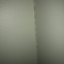 BMI Property - A spillting wall in living room that was there upon check in and I will most likely be charged for upon checkout.