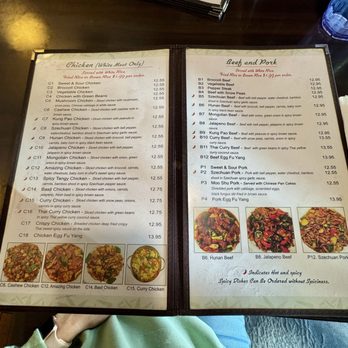 T Jin's China Diner - Menu - Chinese Near Me - San Antonio, Texas