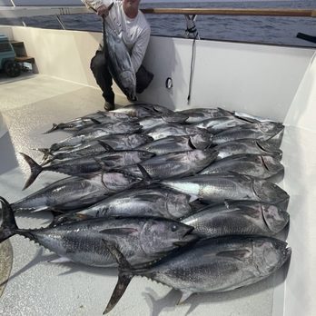 Patriot Charters - Bluefin Limits! - Fishing Near Me - San Diego, California Patriot Charters - Bluefin Limits! - Fishing Near Me - San Diego, California