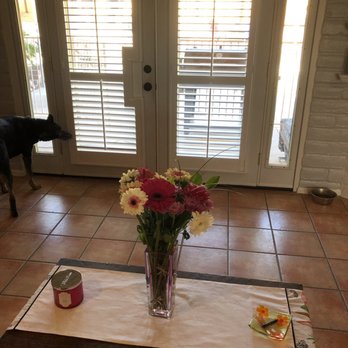 Tucson Blinds & Shutters - Shades & Blinds Near Me - Marana, Arizona Tucson Blinds & Shutters - Shades & Blinds Near Me - Marana, Arizona