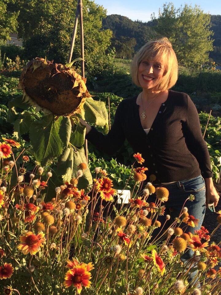 Renee Miller, LMFT - child therapist in Fremont, CA