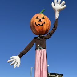 MrBones - Giant Pumpkin Man