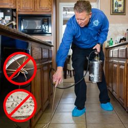 Pest Solutions of North Texas