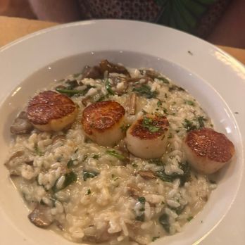 Risibisi - Seared Scallop with Risotto - Italian Near Me - Petaluma, California Risibisi - Seared Scallop with Risotto - Italian Near Me - Petaluma, California