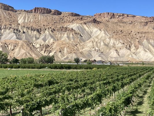 Carboy Winery at Mt. Garfield Estate by null