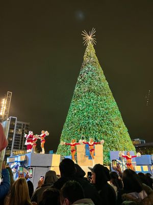 The Star in Frisco by null
