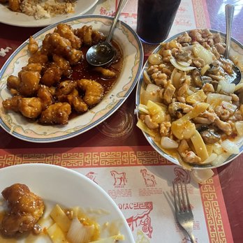 Peking Restaurant - Sesame chicken (left) and garlic chicken (right) - Chinese Near Me - Athens, Georgia