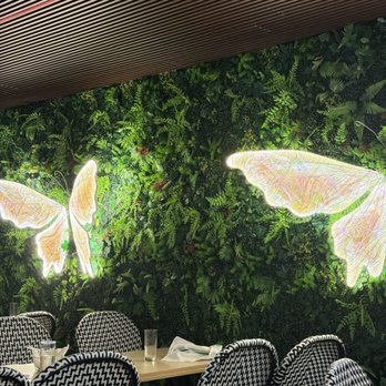 Mariposas - Peruvian Near Me - San Francisco, California Mariposas - Peruvian Near Me - San Francisco, California