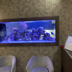 Peak OMS & Dental Implant Center - Lobby